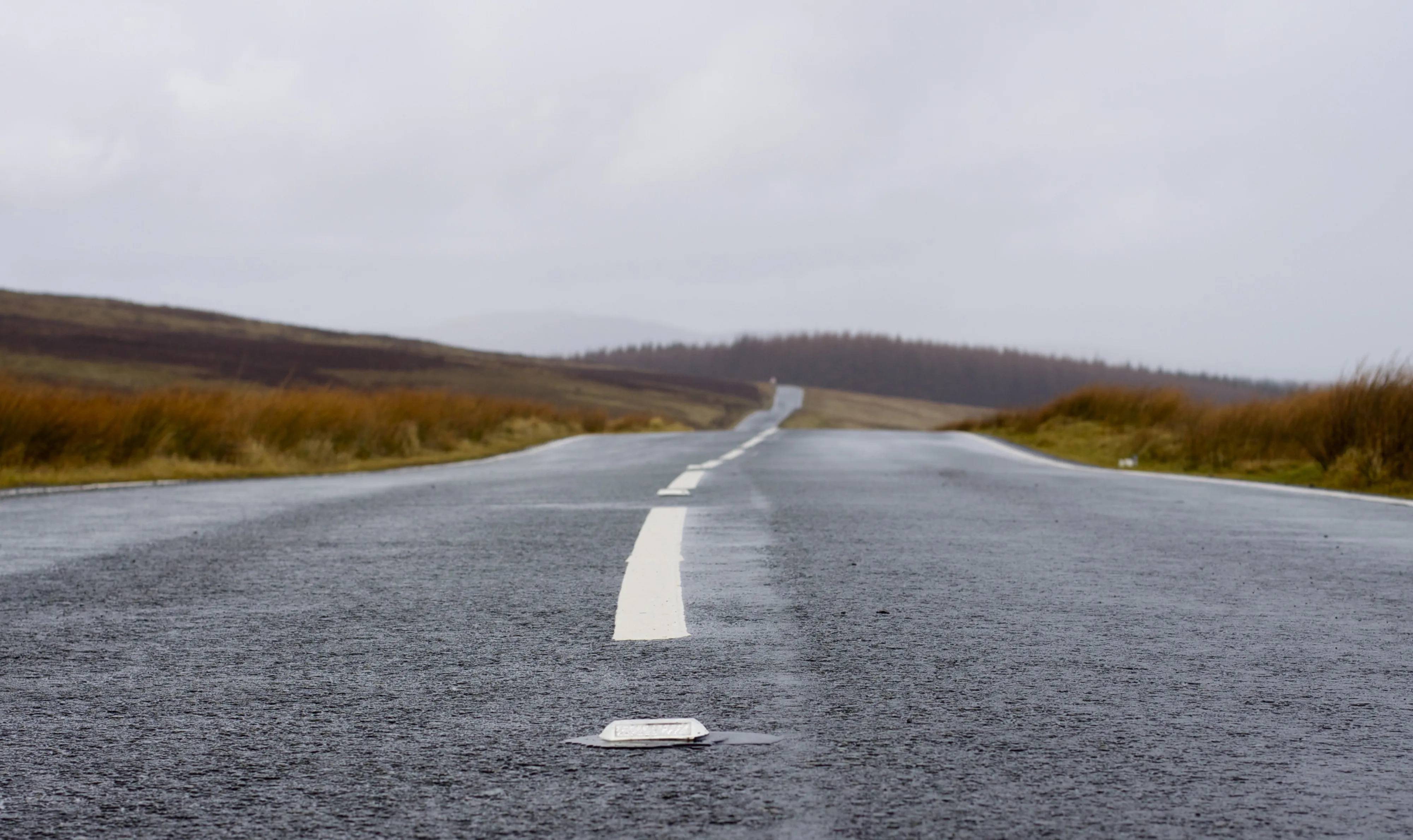 “A highway down a countryside with a red wheat field” by Alice Hampson on Unsplash